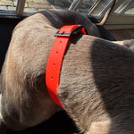 Afbeelding in Gallery-weergave laden, Halsband Biothane
