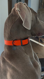 Afbeelding in Gallery-weergave laden, Halsband Biothane
