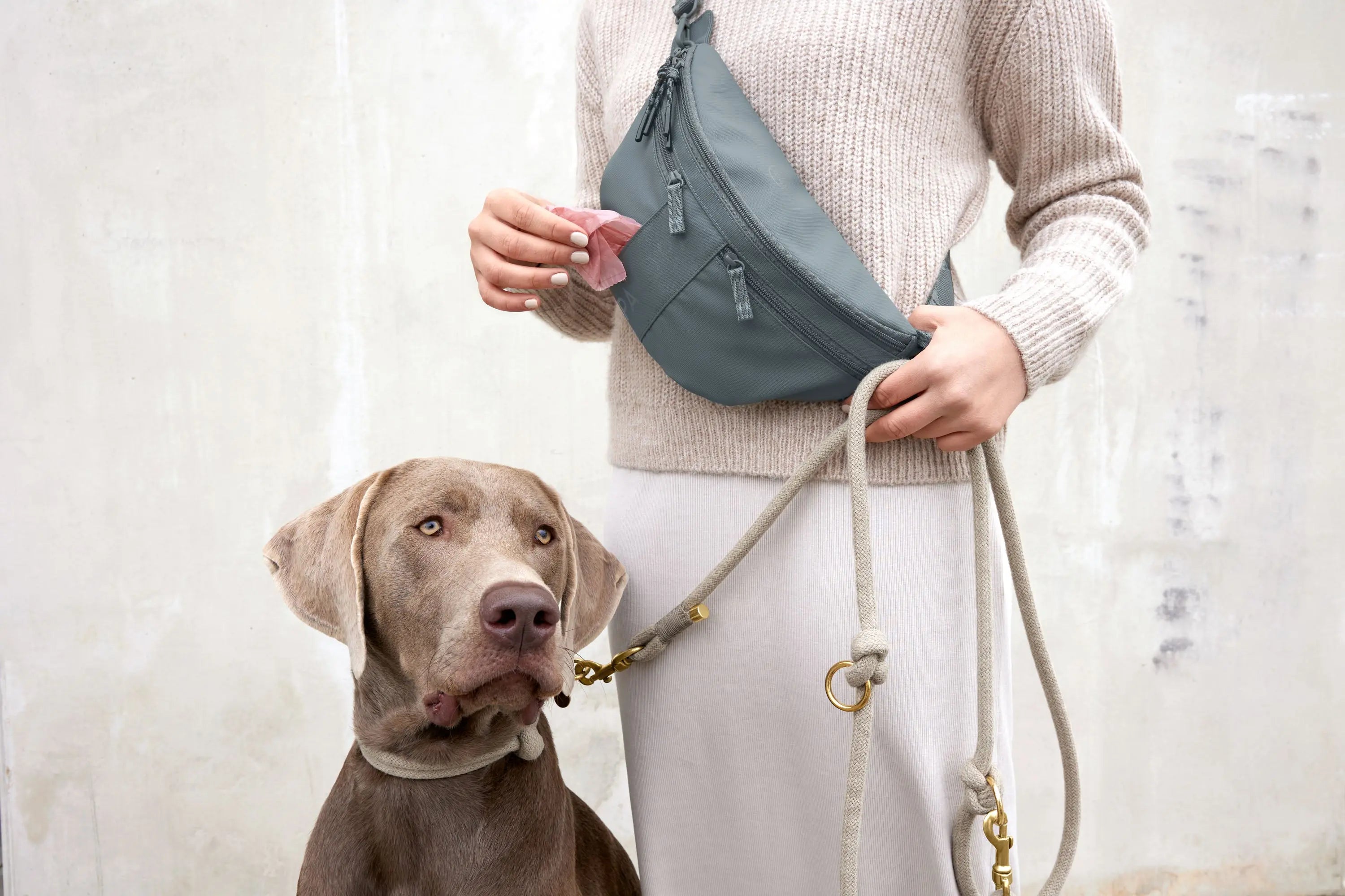 Bum bag Traktatietas / Snacktas