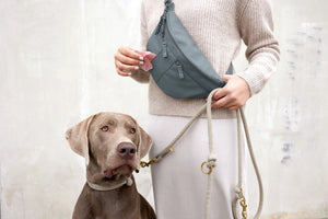 Bum bag Traktatietas / Snacktas