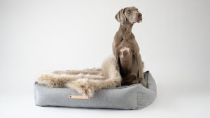 Movik Dog Bed - Grey - Barker & Bones