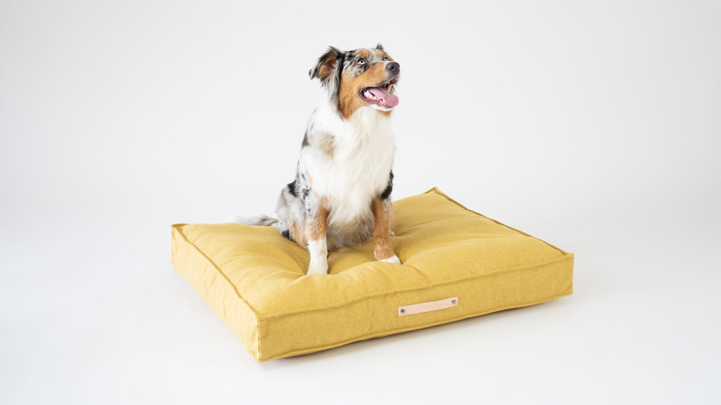 Movik Dog Cushion - Honey - Barker & Bones