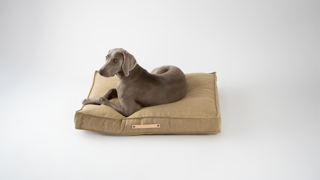Movik Dog Cushion - Biscuit - Barker & Bones