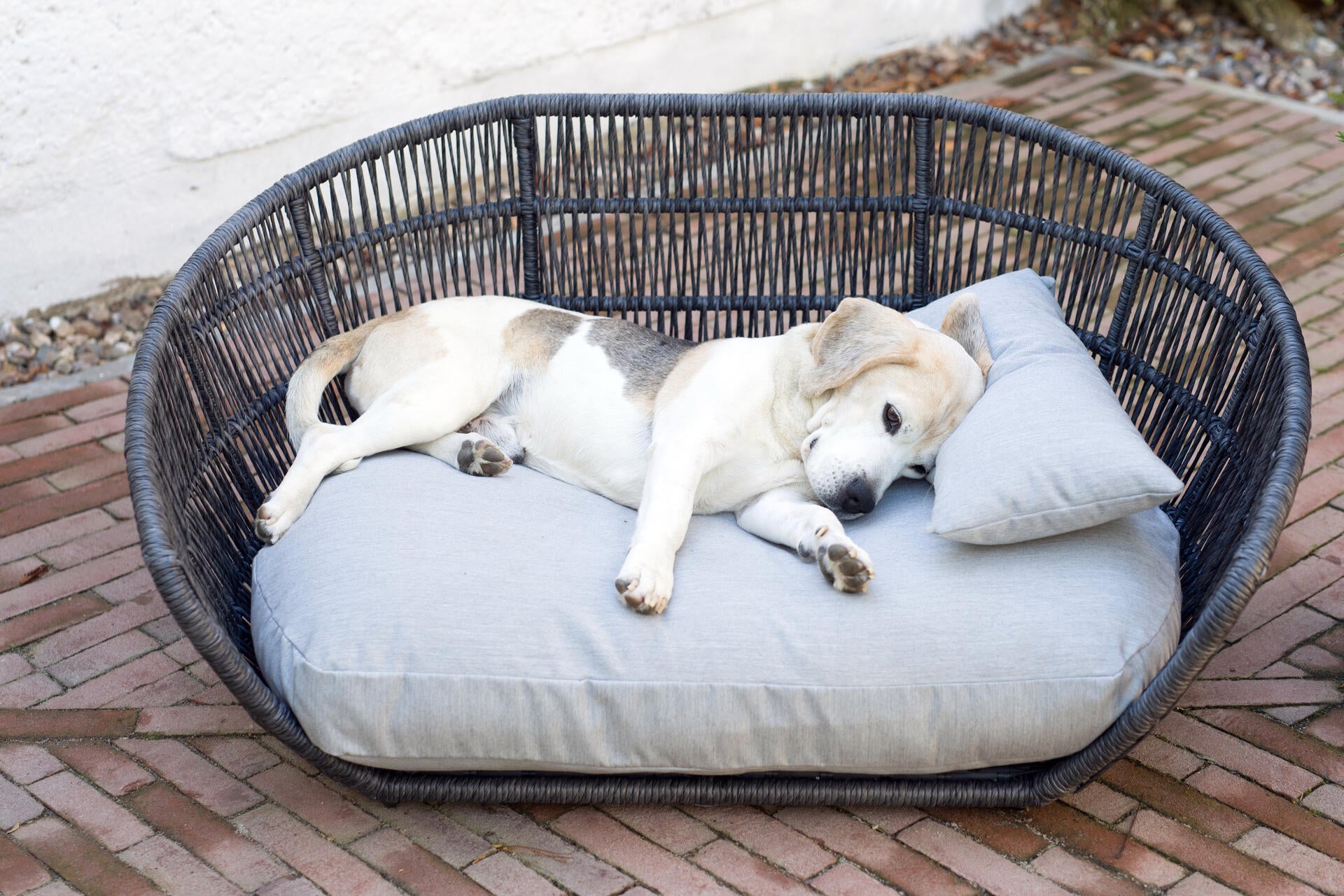 Exterior hotsell dog bed