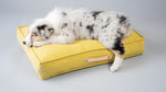 Afbeelding in Gallery-weergave laden, Movik Dog Cushion - Honey - Barker &amp; Bones
