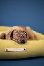 Afbeelding in Gallery-weergave laden, Movik Dog Bed - Honey - Barker &amp; Bones
