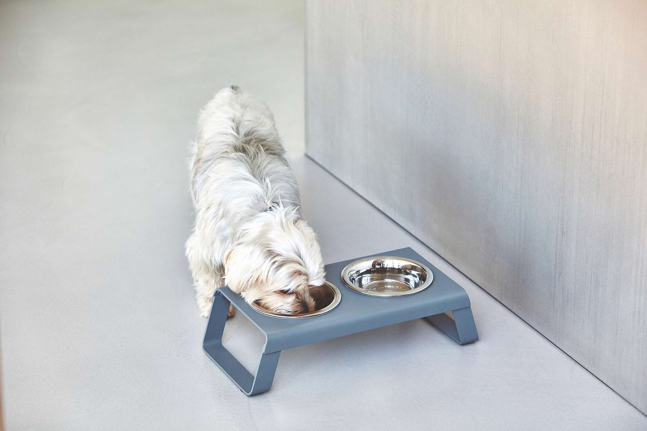 Desco Dog Feeder - Grey - Barker & Bones