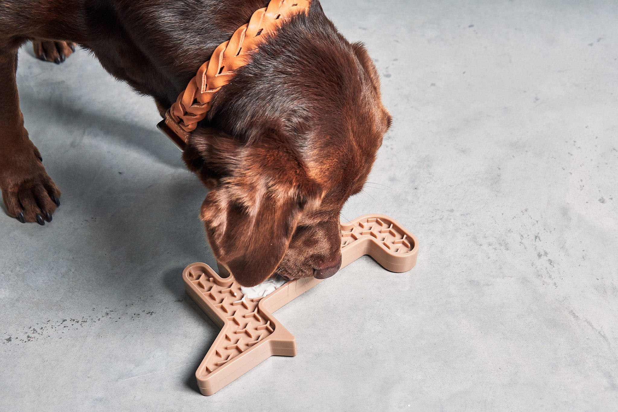 Volpe, bezigheidstherapie honden, speelgoed honden, denkspel honden, recepten honden, slowfeeder honden, Barker & Bones