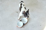 Afbeelding in Gallery-weergave laden, Tavoletta Dog Bowl Set - Grey - Barker &amp; Bones
