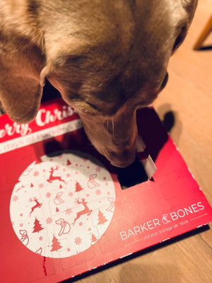 Adventskalender voor honden - Kersteditie - Barker & Bones