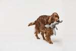 Afbeelding in Gallery-weergave laden, Rupert The Rabbit Toy - Barker &amp; Bones
