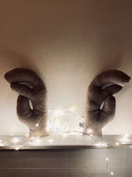 Afbeelding in Gallery-weergave laden, Reindeer - Christmas Edition - Barker &amp; Bones
