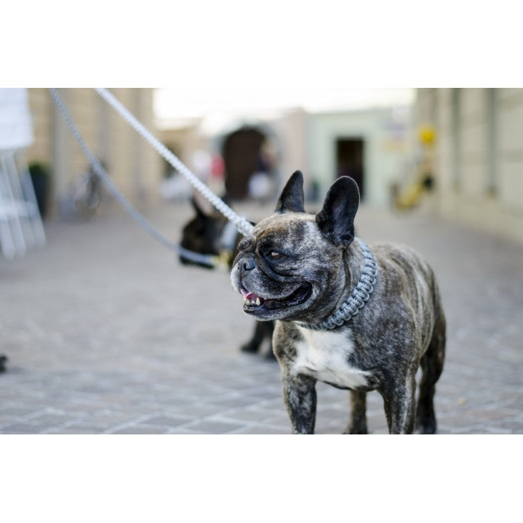 Touch of Leather Dog Collar - Grey - Barker & Bones